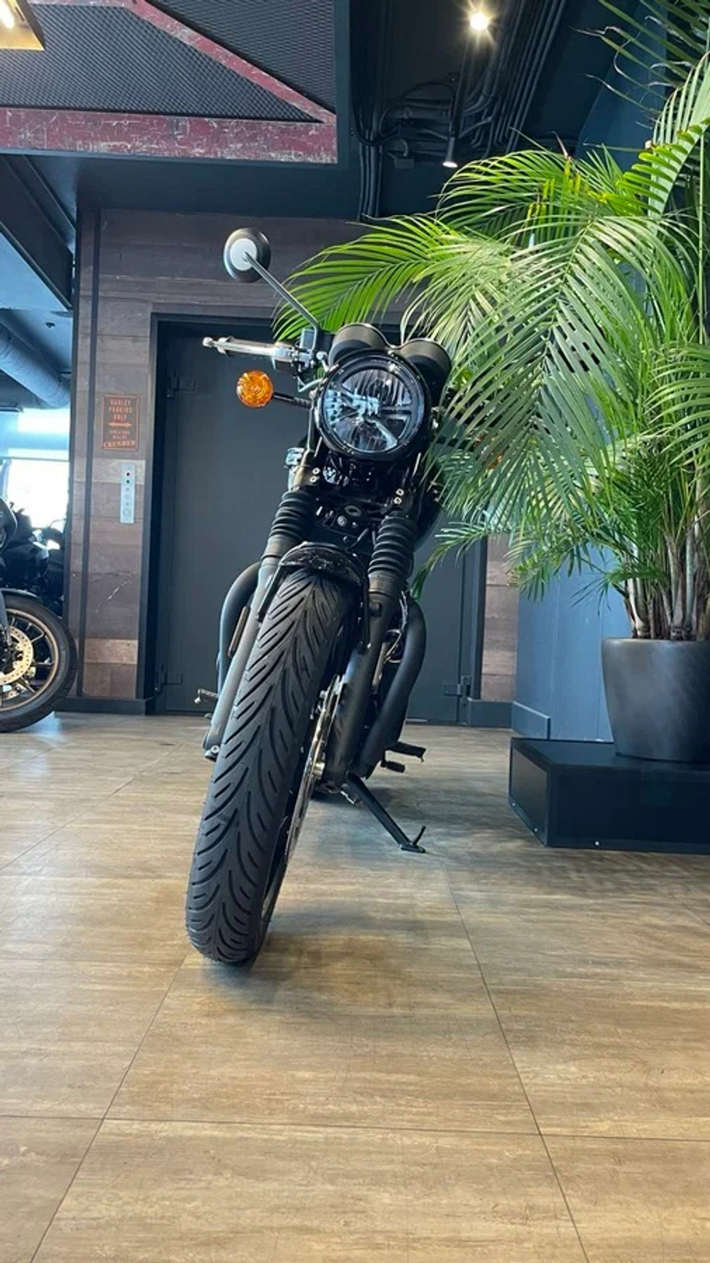 Triumph Bonneville T120, 2025
