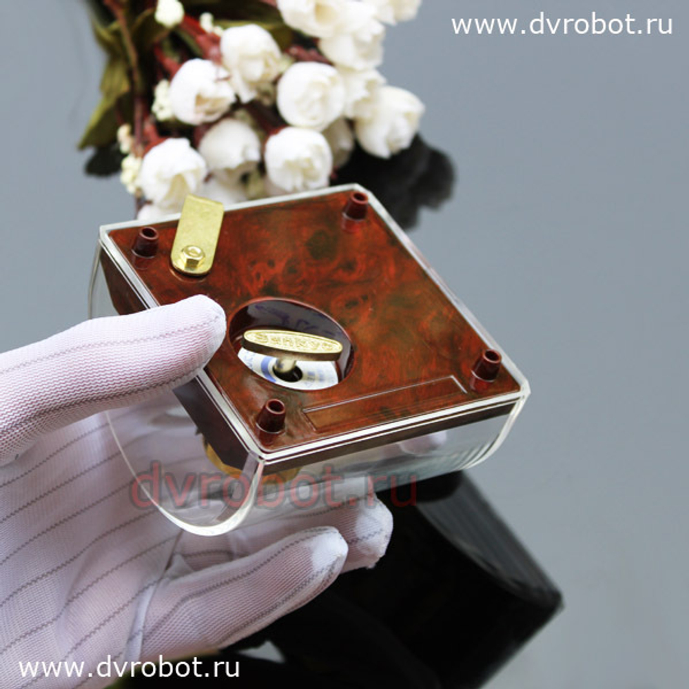 Sankyo“Город Лапута”