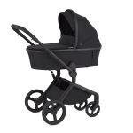 Коляска 2 в 1 ANEX Flo Lungo