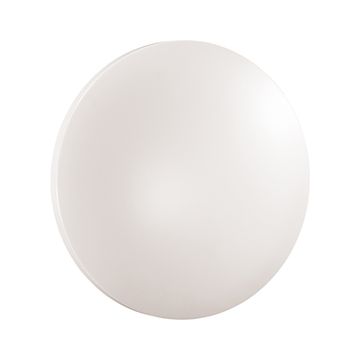 Настенно-потолочный светильник 48W 3000-6000K 3017/DLN белый Simple Sonex