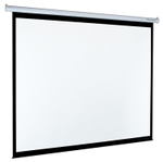 Экран с электроприводом Classic Lyra 308x300 см (4:3)
