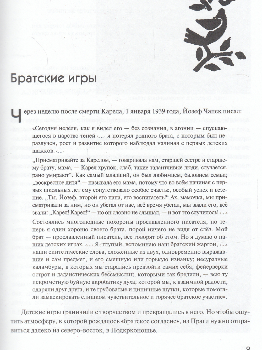 Братья Чапек