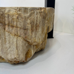 Раковина из окаменелого дерева OD-66929 56x46x15 из натурального камня