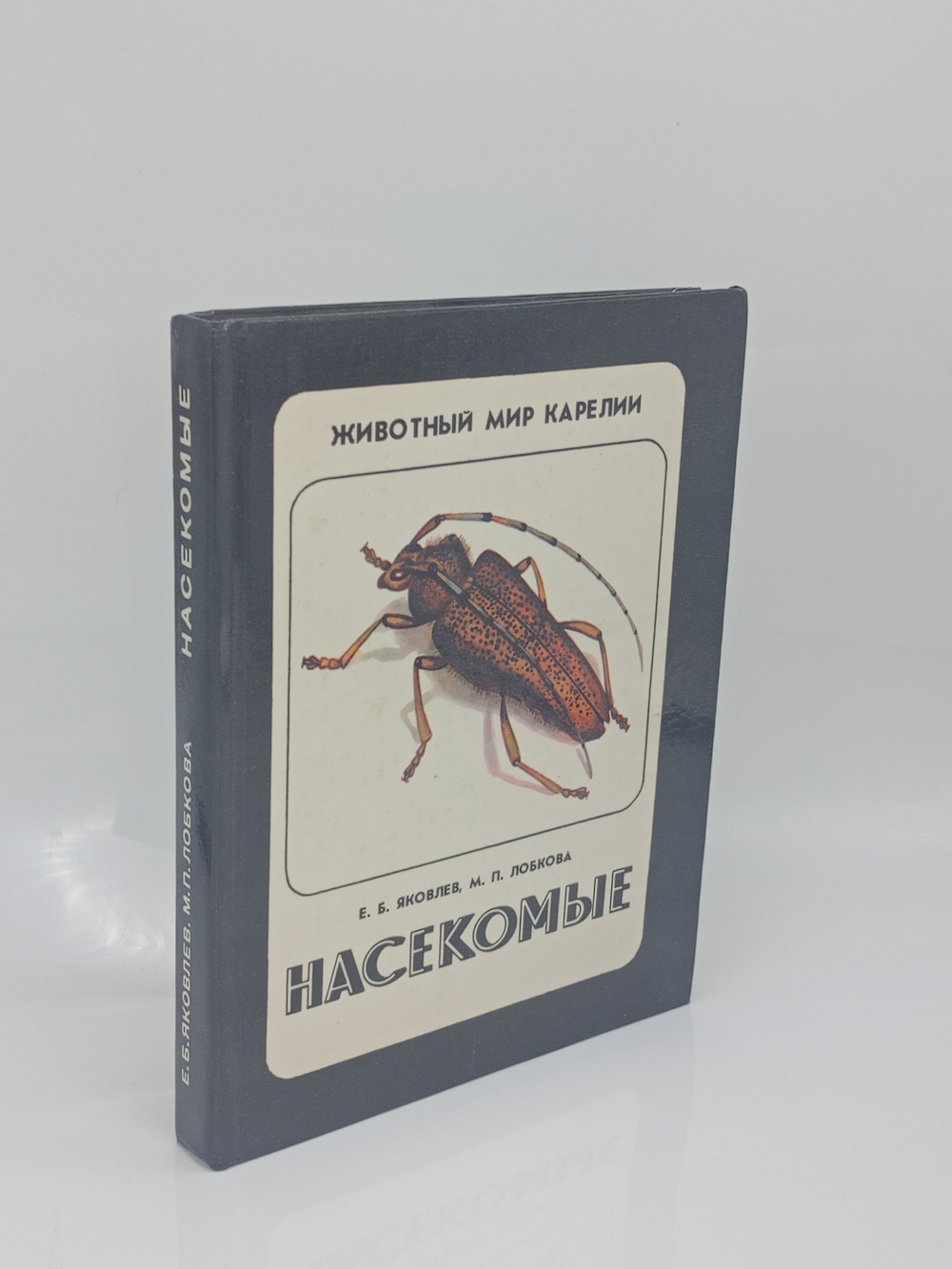 Насекомые. Животный мир Карелии.