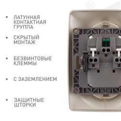 Розетка ЭРА Серия 12 12-2108-04 2X2P+E Schuko со шторками 16A-250В IP20 шампань | Эра 12