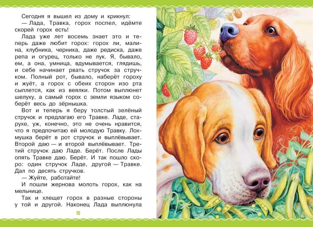 Рассказы