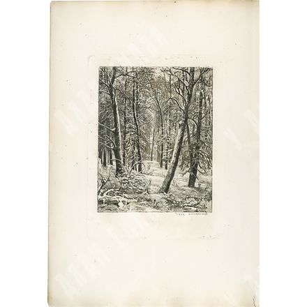 Шишкин И. И. Зима. Бумага, офорт. Россия. 1885.
