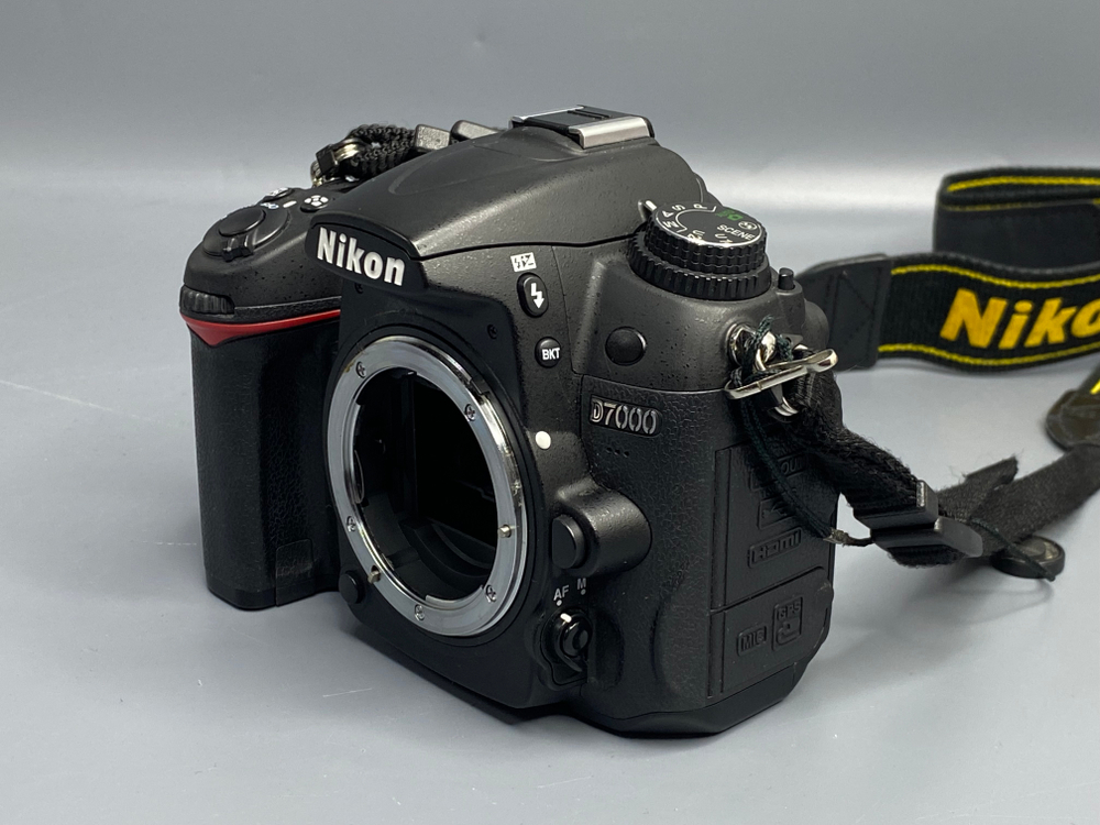 Nikon D7000 — 13 000 кадров