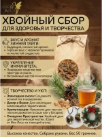 Хвойный сбор: побеги, почки, молочные шишки сосны