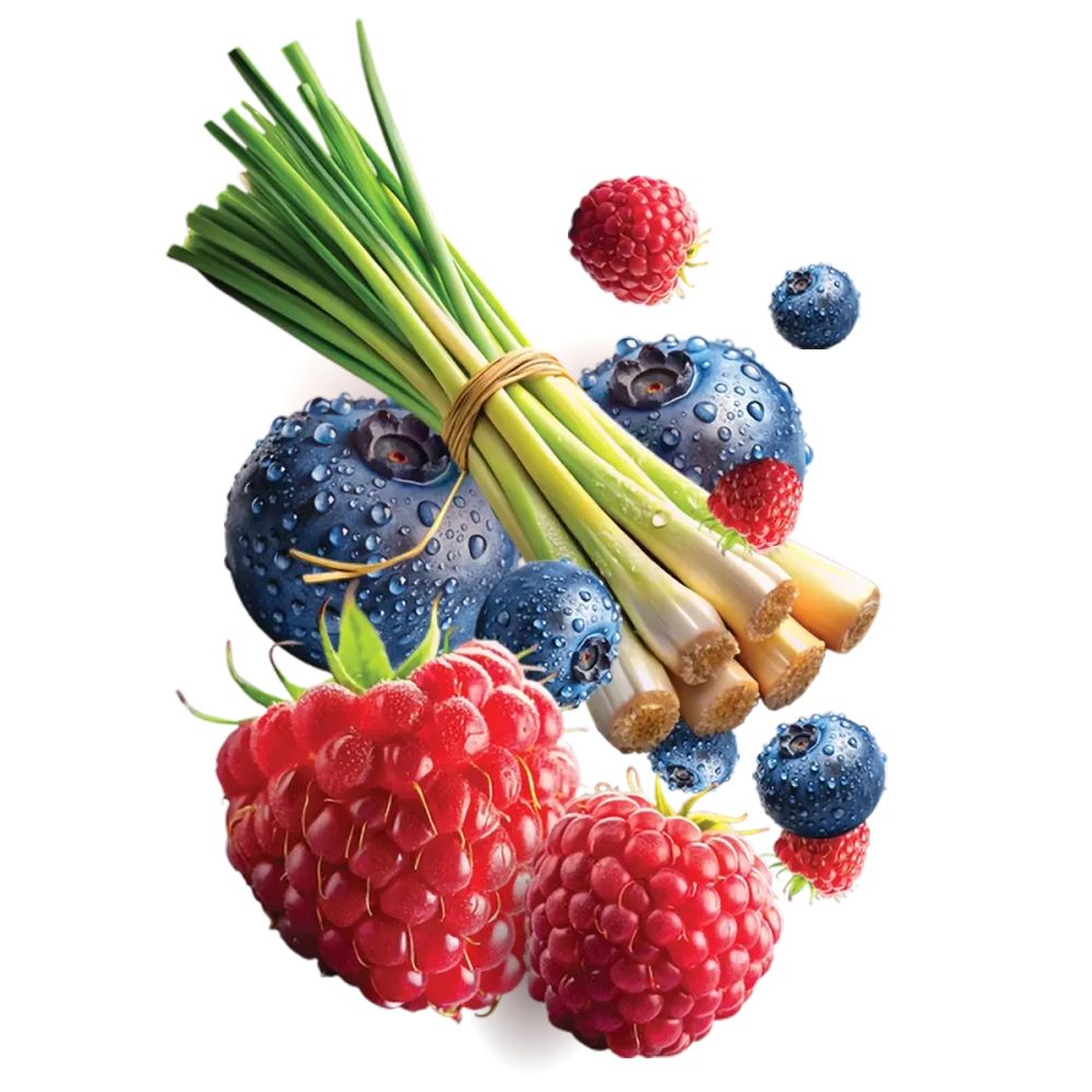 HIT - Berry Pop (МАЛИНА, ГОЛУБИКА, ЛЕМОНГРАСС) (30г)