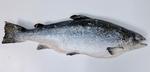 Сёмга стейки мороженные вакуум 600-750г