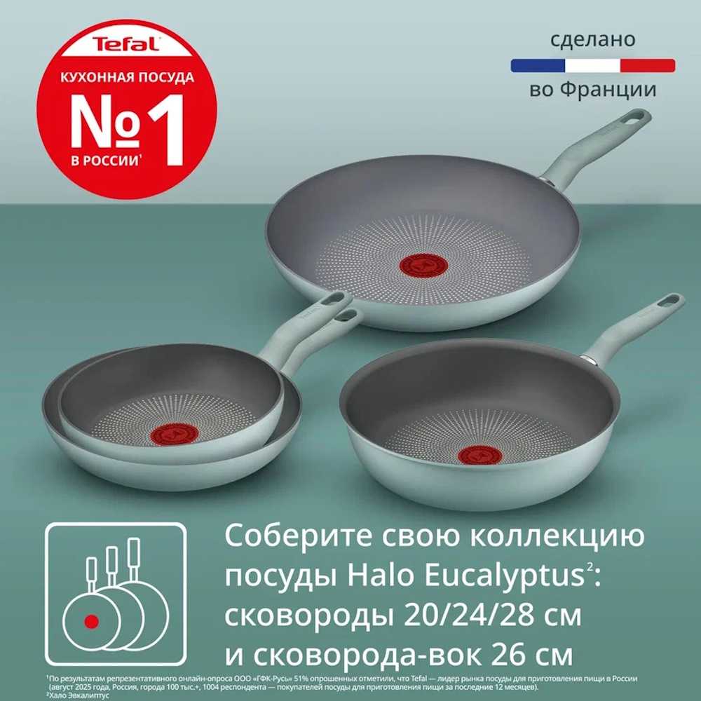 Сковорода Tefal Halo Eucalyptus 20 см G0160202