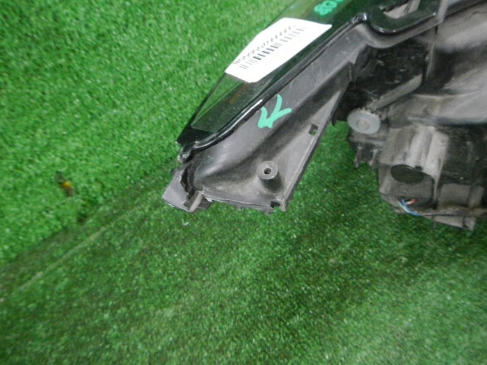 DSCN7908.JPG
