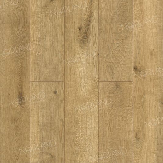 Ламинат Norland Элегантный (Elegant) - Дуб Хайнан (LF301-09)
