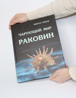 Книга Чарующий мир раковин. Виктор Ершов