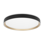 Потолочный светодиодный светильник Citilux Boss CL751451G LED RGB