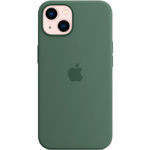 Силиконовый чехол с поддержкой MagSafe Apple Silicone Case для iPhone 13, Eucalyptus (Эвкалипт)