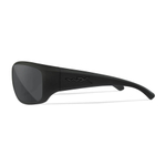 Очки солнцезащитные WILEY X Tactical sunglasses WX OMEGA CAPTIVATE™ BLACK frame POLARISED lenses