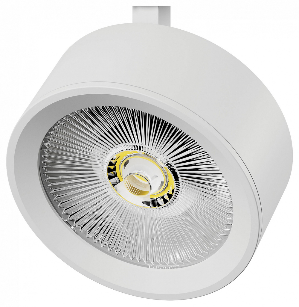 Плафон металлический Lightstar Alta Pro 215636