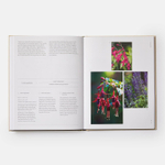 The Seasonal Gardener: Creative Planting Combinations