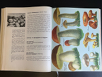 Книга О вкусной и здоровой пище 1965 год. Издательство Пищевая промышленность СССР
