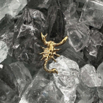 Scorpion PVD Yellow
