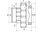 Муфта комб. разъемная, нар 20х3/4" EVER®  БЕЛЫЙ (Россия)