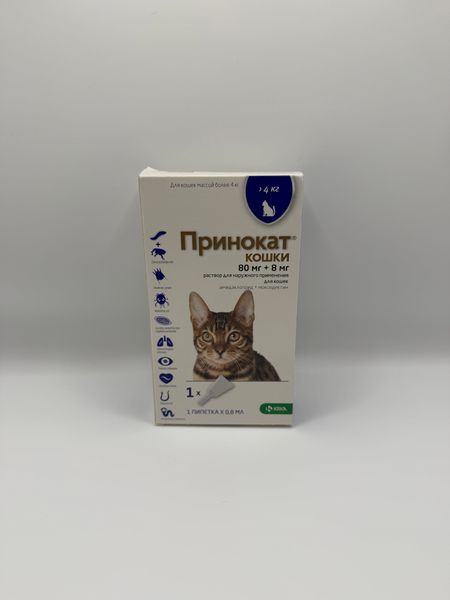 Принокат: Новый игрок на страже здоровья питомцев. Что нужно знать об аналоге Адвоката?