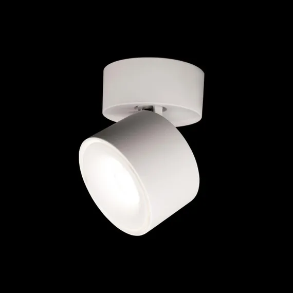 Спот Focus 10323/A White Loft It