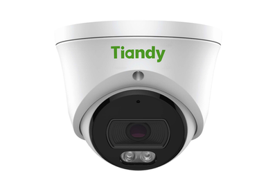 IP камера TIANDY TC-C320N купольная /2МП/