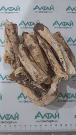 Колючестник железистый (Мыльный корень) Афганистан