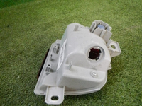 DSCN7174.jpg