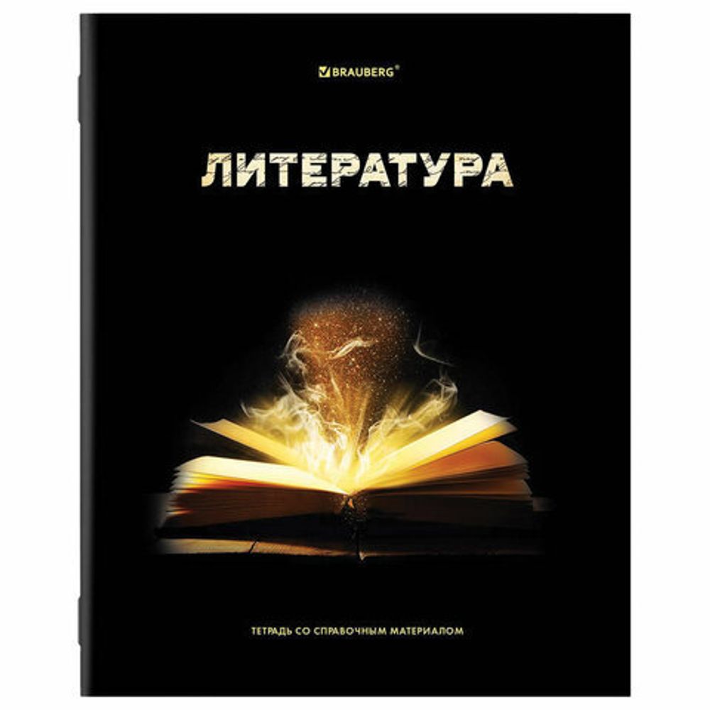 Тетради предметные, КОМПЛЕКТ 12 ПРЕДМЕТОВ, "SHADE", 48 л., глянцевый УФ-лак, BRAUBERG, 404324