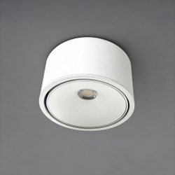 Светильник точечный накладной Wertmark Technical Altair WTA.O06.007.30.12