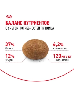 Sterilised 37 Корм для кошек 2кг