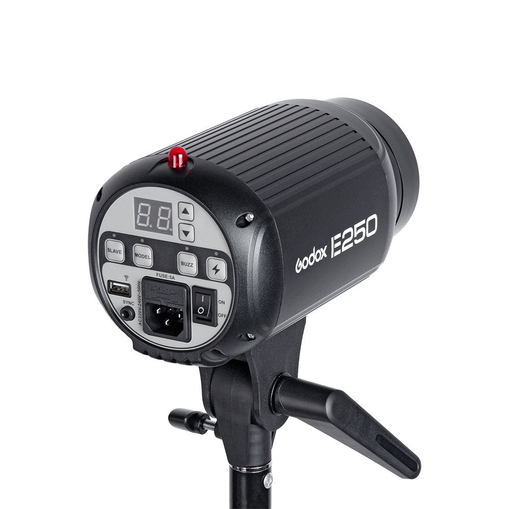 Комплект студийного света Godox E250-F