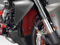 GR16 DBK RADIATOR GUARD (DVL V4)