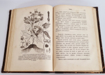 "Беседы о русском лесе". Д.Н.Кайгородов. 1885г.