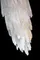 Настенный светильник Selena FL1192-8W Fluorite