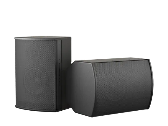 CVGAUDIO BS608TBL корпусная акустическая система