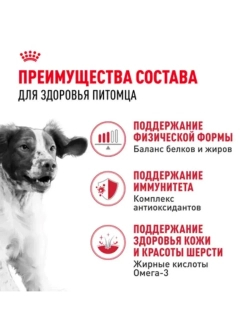 Medium Adult Корм для собак 3кг