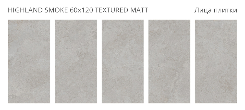 HIGHLAND SMOKE 60x120 TEXTURED MATT