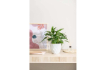 ГОРШОК Д ЦВЕТОВ С ФИКСИРУЕМЫМ ПОДДОНОМ IDI LAND LAUREL ID2216108 D145MM 1.3Л