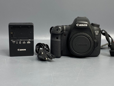 Canon EOS 6D 46.000 кадров