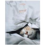 Дневник 5-11 класс 48 л., твердый, BRAUBERG, глянцевая ламинация, с подсказом, "Котик", 106389