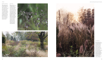 New Nordic Gardens. Scandinavian Landscape Design