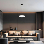 Потолочный светодиодный светильник Arte Lamp FADO A7335PL-1BK
