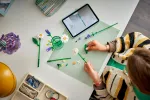 Конструктор LEGO Botanical Collection 11508 Daisies