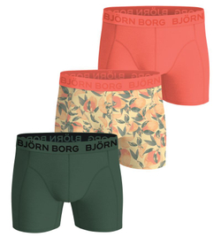 Мужские спортивные боксеры Bj_rn Borg Cotton Stretch 3P - multicolor