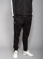 Мужские спортивные брюки RS Club Pants (club collection)  (222M320999)